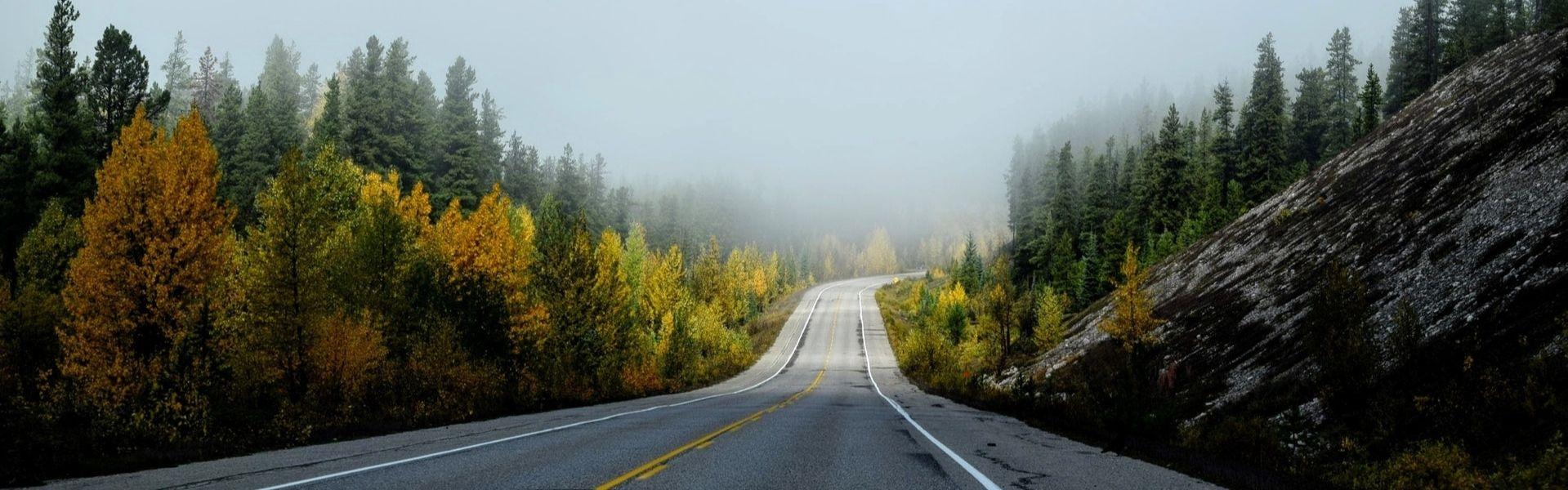 Photo of road leading to sunshine